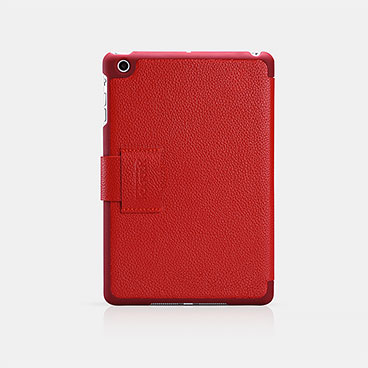 iPad mini 卓越系列